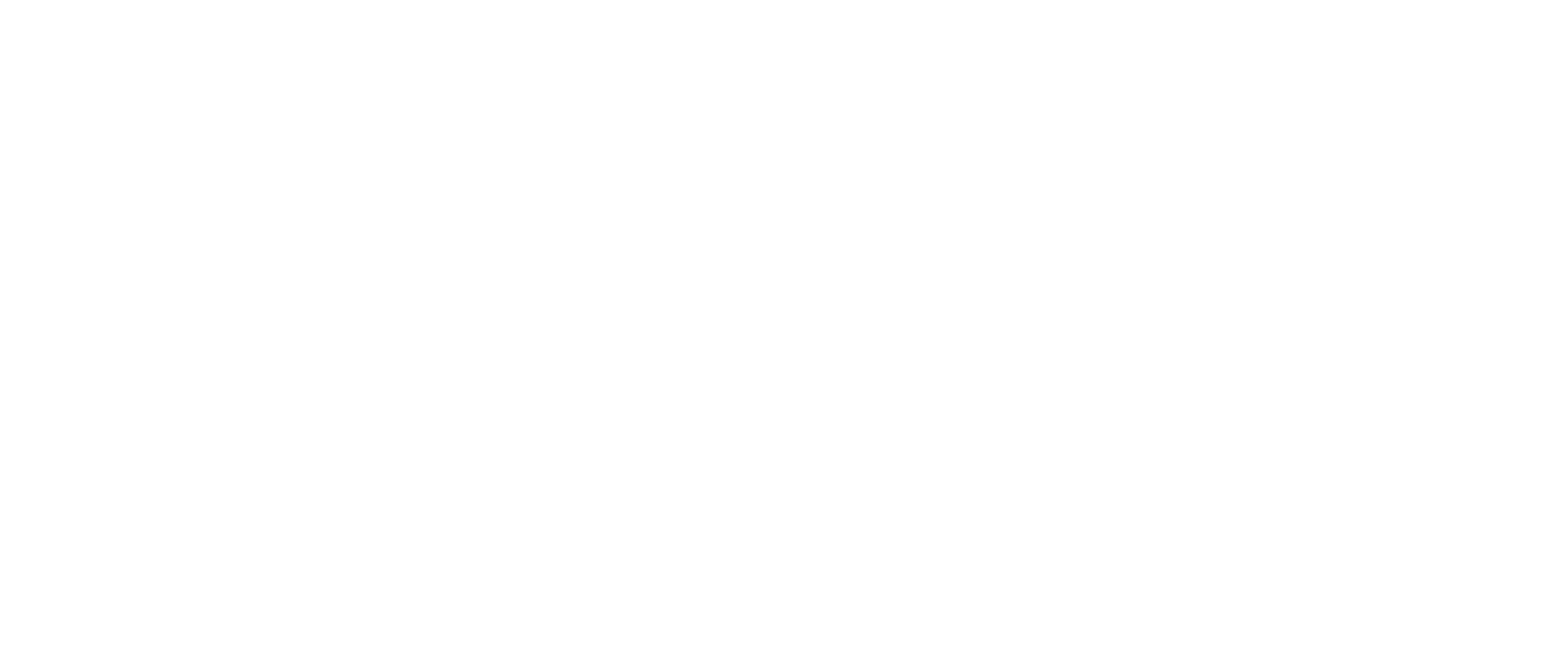 Sylius Logo